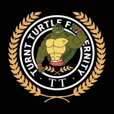 Turnt Turtles